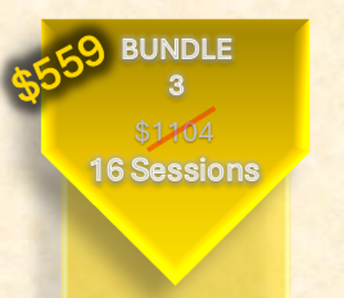 Bundle 3